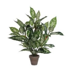 Mica Decorations Okrasne rastline sljude Okraski Dieffenbachia Dieffenbachia Zelena PVC (15,7 x 70 cm)