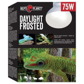 REPTI PLANET Daylight Frosted 75W žarnica