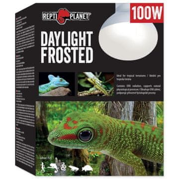 REPTI PLANET Žarnica Daylight Frosted 100W