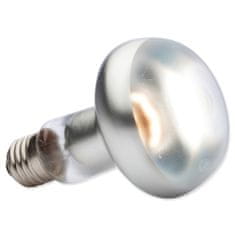 EXO TERRA Žarnica Intense Basking Spot 100W