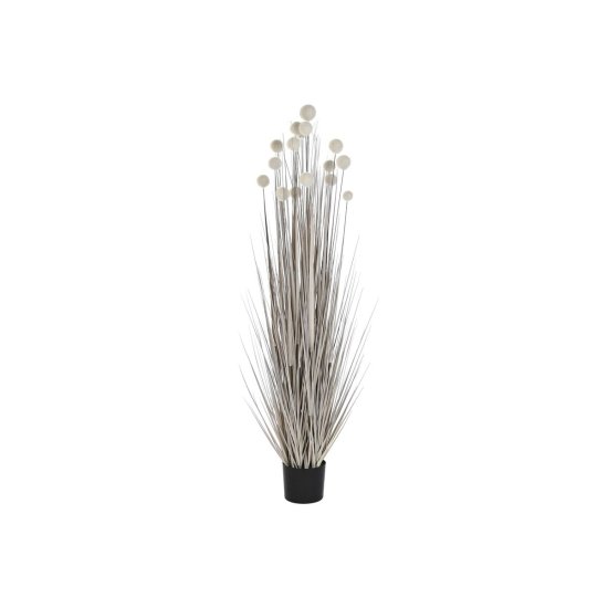 DKD Home Decor Dekorativna rastlina DKD Home Decor Pompoms (45 x 45 x 150 cm)