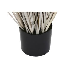 DKD Home Decor Dekorativna rastlina DKD Home Decor Pompoms (45 x 45 x 150 cm)