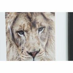 DKD Home Decor Slika DKD Home Decor Kolonialna džungla (35 x 2,5 x 45 cm) (35 x 2 x 45 cm) (4 enote)