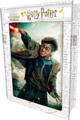 Prime 3D Puzzle Harry Potter: Harry 3D 300 kosov