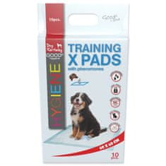 Dog Fantasy Artikel Pes Fantasy Training X z dferomoni 60x60cm 10pcs