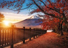 Trefl Puzzle Premium Plus Photo Odyssey: Mount Fuji, Japonska 1000 kosov