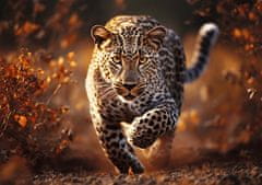 Trefl Puzzle Premium Plus Photo Odyssey: Wild leopard 1000 kosov