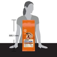 Purina PURINA Dog Chow Mature Senior z jagnjetino - suha hrana za pse - 14 kg
