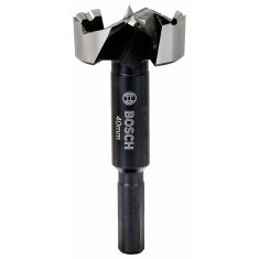 Bosch Vreteno BOSCH (obnovljeno C)
