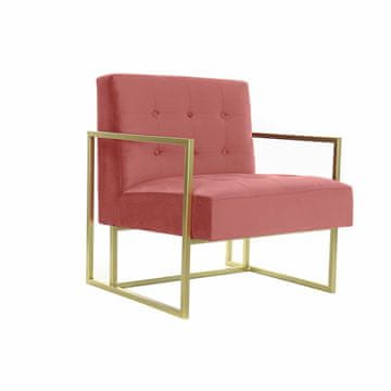 DKD Home Decor Fotelj DKD Home Decor Pink Golden Metal Plastic 67 x 70 x 76 cm