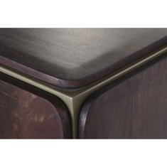 DKD Home Decor Bivak DKD Home Decor Rjava jeklo Mango les 160 x 40 x 81 cm