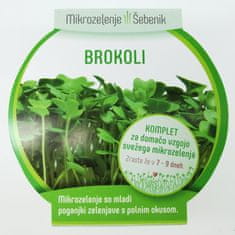 Mikrozelenje Šebenik Koko lonček – enojček, brokoli