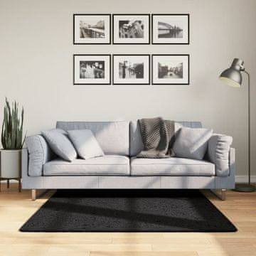 Vidaxl vidaXL OVIEDO Preproga, nizek vlak, črna, 120x120 cm