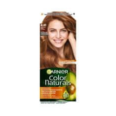 Garnier Color Naturals trajna barva za lase z negovalnimi olji 40 ml Odtenek 6.41 sweet amber za ženske