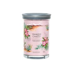 Yankee Candle Aromatična sveča Signature tumbler velika Desert Blooms 567 g