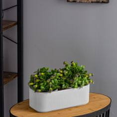 botle Keramični cvetlični lonec bela 30 cm H10,5 cm mat moderna elegantna