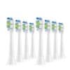 Ultrasonic nastavki za Philips Sonicare W2 Optimal White, 8 kosov, beli