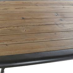 DKD Home Decor Jedilna miza DKD Home Decor Metal Fir 161 x 90 x 75 cm