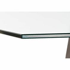 DKD Home Decor Jedilna miza DKD Home Decor Crystal Grey Metal Transparent 160 x 90 x 75 cm 30 x 40 cm MDF Wood
