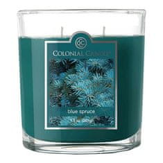 Colonial Candle Svíčka dekorativní váza , Modrý smrk, 269 g
