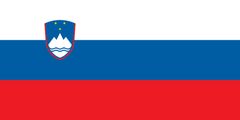 Slovenija zastava 200x100 cm