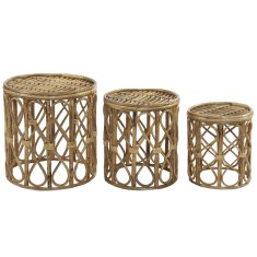 DKD Home Decor Komplet 3 miz DKD Home Decor 39 x 39 x 41 cm Naravno protje