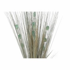 DKD Home Decor Snop DKD Home Decor 8424001847433 Cvetje Naravna turkizna Sušeno cvetje (40 x 40 x 150 cm) (2 enoti)