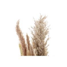 DKD Home Decor Šopek DKD Home Decor Suha bež rjava suho cvetje (12 x 3 x 53 cm)