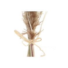 DKD Home Decor Šopek DKD Home Decor Suha bež rjava suho cvetje (12 x 3 x 53 cm)
