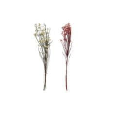 DKD Home Decor Snop DKD Home Decor Roza Bela Suho cvetje (11 x 3 x 72 cm) (2 enoti)