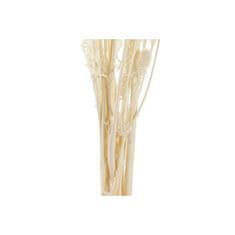 DKD Home Decor Snop DKD Home Decor Suha smetana Suho cvetje (15 x 15 x 65 cm)
