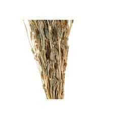 DKD Home Decor Snop DKD Home Decor Roza Bela Suho cvetje (16 x 3 x 60 cm) (2 enoti)