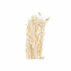 DKD Home Decor Snop DKD Home Decor Ovsena bež suho cvetje (8 x 3 x 57 cm)