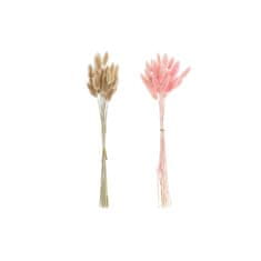 DKD Home Decor Snop DKD Home Decor Roza kremasto suho cvetje (8 x 3 x 55 cm) (2 enoti)