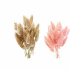 DKD Home Decor Snop DKD Home Decor Roza kremasto suho cvetje (8 x 3 x 55 cm) (2 enoti)