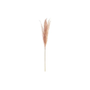 DKD Home Decor Grozd DKD Home Decor Pampas (30 x 30 x 110 cm)