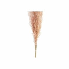DKD Home Decor Grozd DKD Home Decor Pampas (30 x 30 x 110 cm)