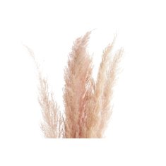 DKD Home Decor Grozd DKD Home Decor Pampas (30 x 30 x 110 cm)