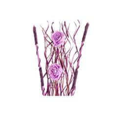 DKD Home Decor Snop DKD Home Decor Roza lila bela Suho cvetje (30 x 30 x 100 cm) (2 enoti)