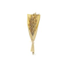 DKD Home Decor Grozd DKD Home Decor Naravno suho cvetje (20 x 20 x 76 cm)
