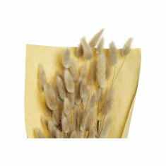 DKD Home Decor Grozd DKD Home Decor Naravno suho cvetje (20 x 20 x 76 cm)