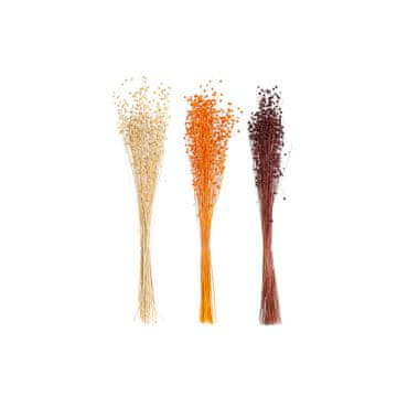 DKD Home Decor Snop DKD Home Decor Natural Orange Burgundy (10 x 10 x 70 cm) (3 enote)
