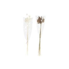 DKD Home Decor Šopek DKD Home Decor Suho cvetje (20 x 20 x 55 cm) (2 enoti)