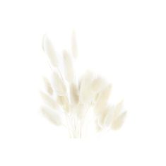 DKD Home Decor Šopek DKD Home Decor Suho cvetje (20 x 20 x 55 cm) (2 enoti)