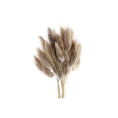 DKD Home Decor Šopek DKD Home Decor Suho cvetje (20 x 20 x 55 cm) (2 enoti)