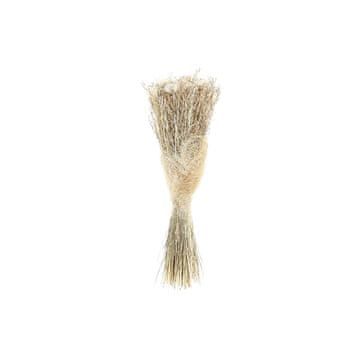 DKD Home Decor Snop DKD Home Decor Naravno belo suho cvetje (17 x 17 x 53 cm)
