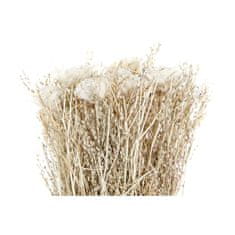 DKD Home Decor Snop DKD Home Decor Naravno belo suho cvetje (17 x 17 x 53 cm)