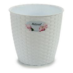 Stefanplast Rastlinjak Stefanplast 10006019 Bela plastika 19 x 17,5 x 19 cm