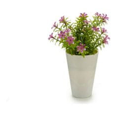BigBuy Lonec za rastline 12 x 20 x 12 cm Vijolična Roza Bela Rumena Plastika