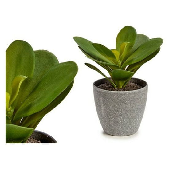 BigBuy Lonec za rastline Zelena plastika (11 x 15 x 11 cm)